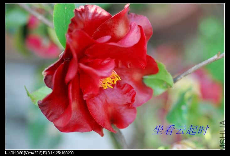 nEO_IMG_DSC_0064.jpg