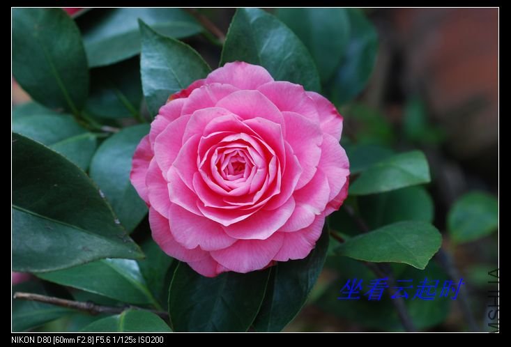 nEO_IMG_DSC_0060.jpg