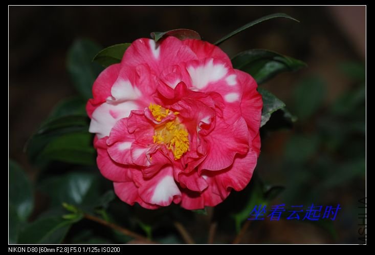 nEO_IMG_DSC_0005.jpg