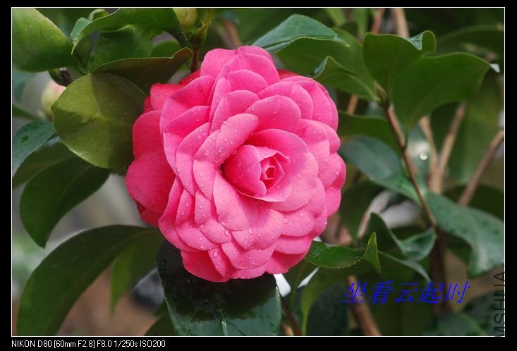 nEO_IMG_���֥����1.jpg