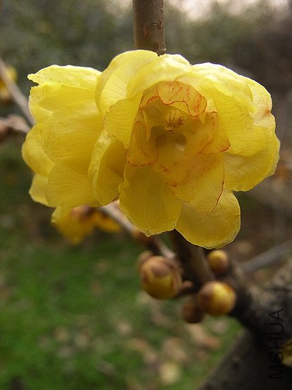 RIMG0133.jpg
