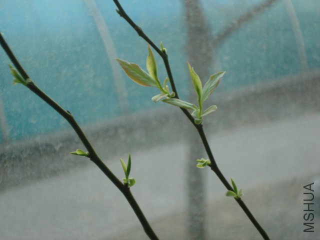 DSC04161.JPG