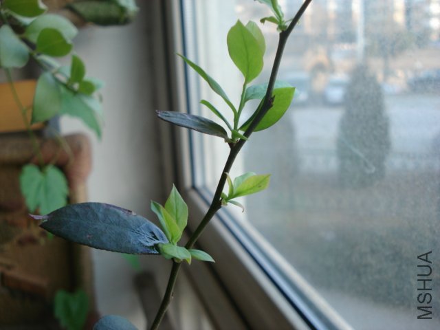 DSC04160.JPG