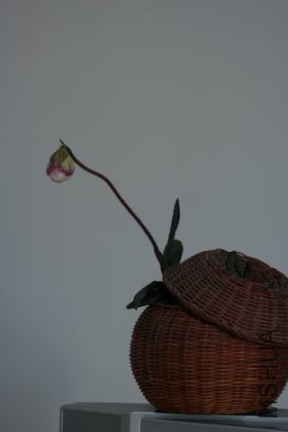 ������С IMG_0429.JPG