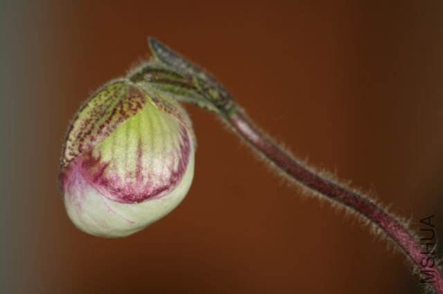 ������С ��Ƭ 008.jpg