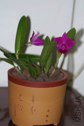 ������С ��Ƭ 011.jpg