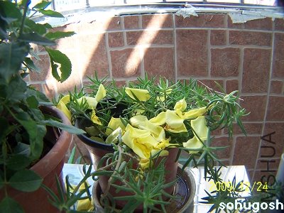 100_7375.jpg