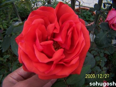 100_7400.jpg