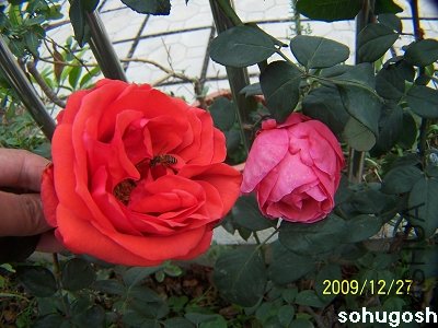 100_7399.jpg