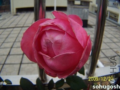 100_7401.jpg