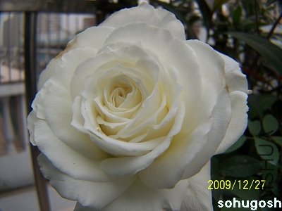 100_7382.jpg