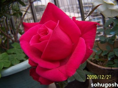 100_7389.jpg