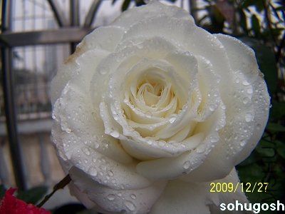 100_7426.jpg