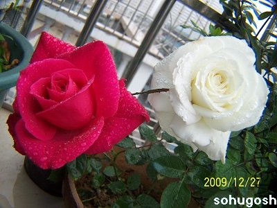 100_7432.jpg