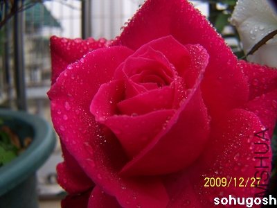 100_7427.jpg