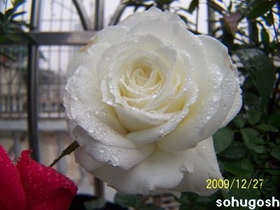 100_7424.jpg
