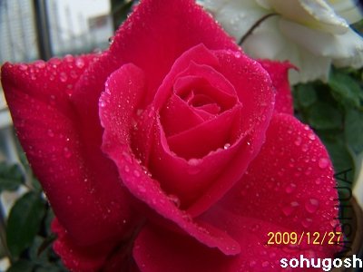 100_7428.jpg