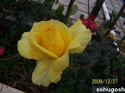 100_7403.jpg