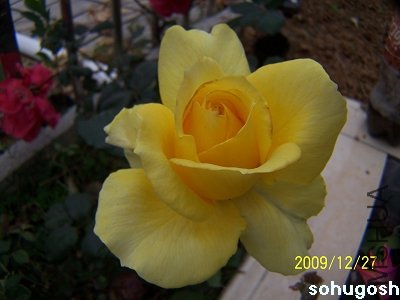 100_7404.jpg