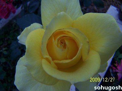 100_7405.jpg