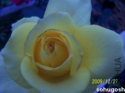 100_7406.jpg