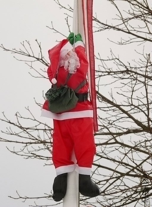 ʥ������