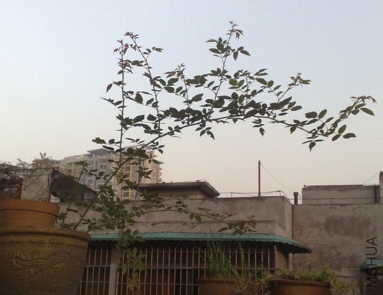 12192009261.jpg