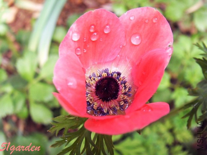 5f6455c8g7bcc4bf6081a&690.jpg