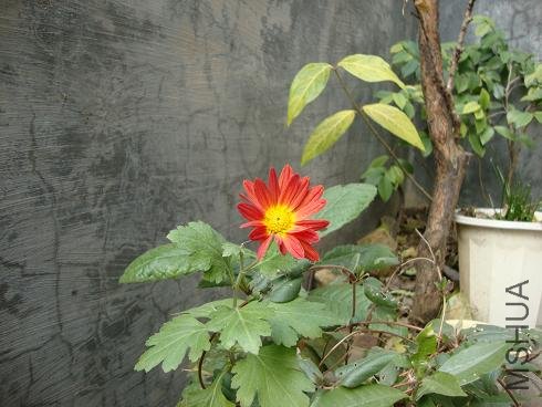 DSC00010.JPG