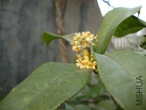 DSC00016.JPG