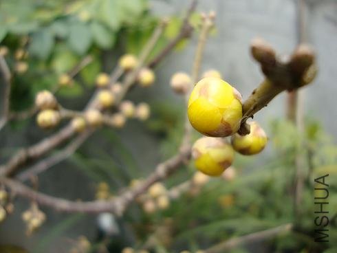 DSC00018.JPG