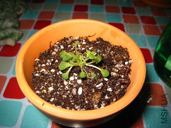 ��ʲô���� �����������Ҳ�ǿ