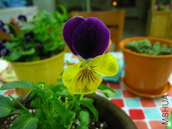 ��Ʒ ����