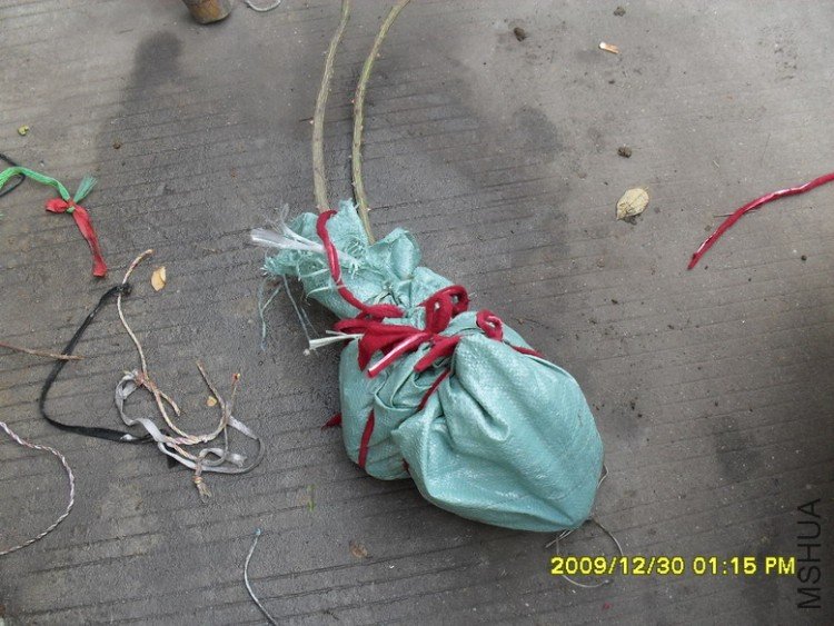 ���������������