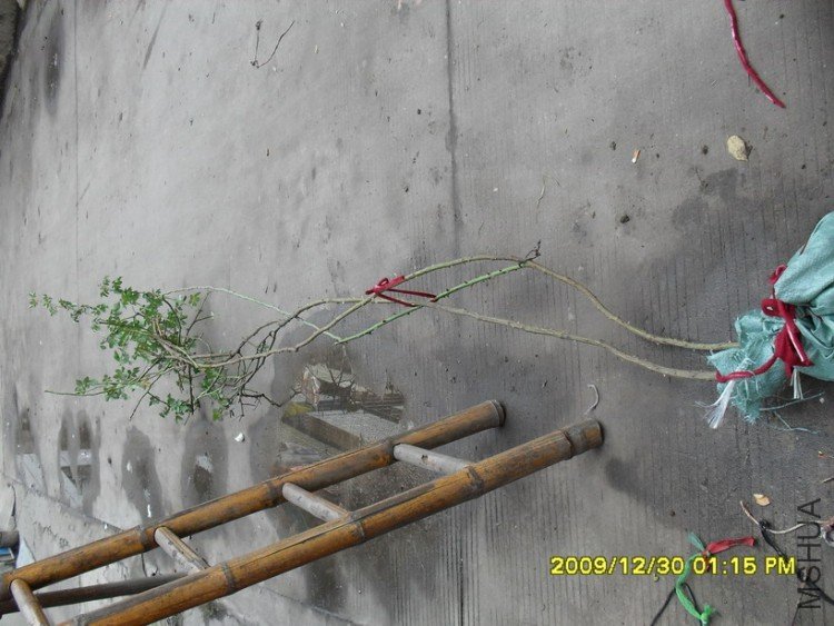 ȫ�̫꣨���ˣ�Ҫ����¥����ȥ���ܽ��