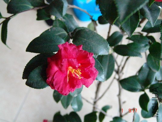 09���÷���� (1).JPG