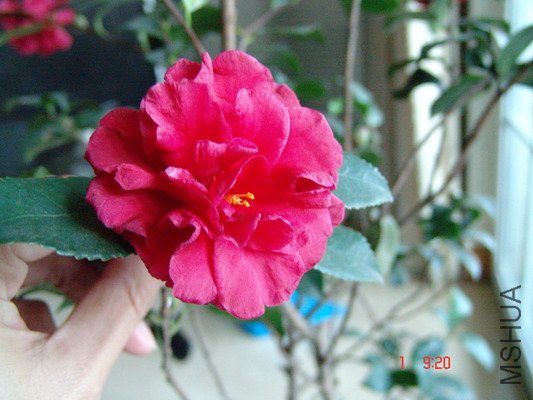 09���÷���� (7).JPG