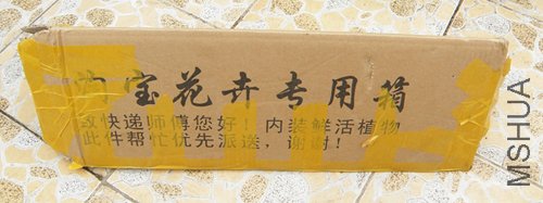 P1010001.JPG