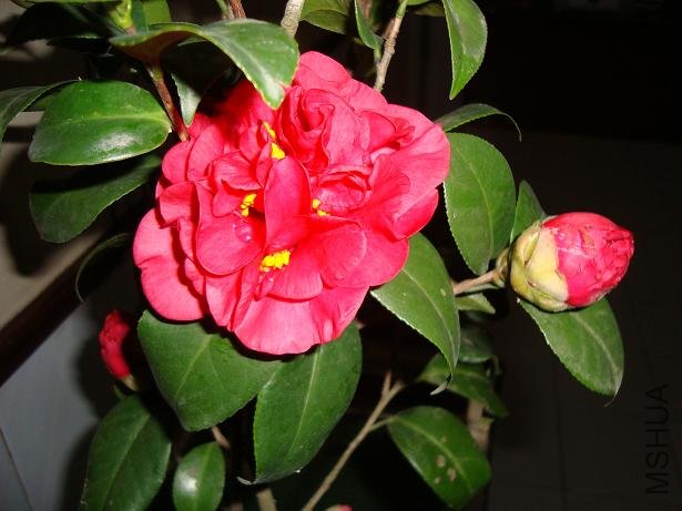 DSC01139.JPG