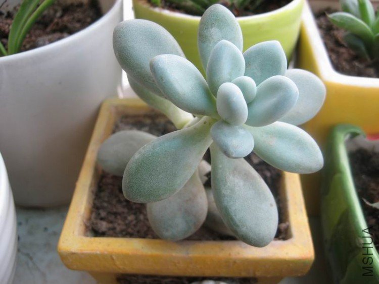 ��Ƭ 078.jpg