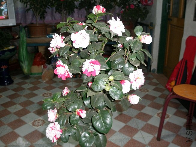 PC273832.JPG