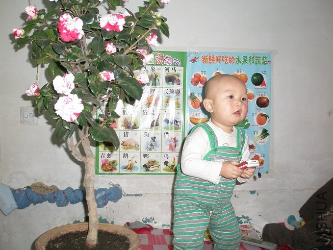 PC273837.JPG