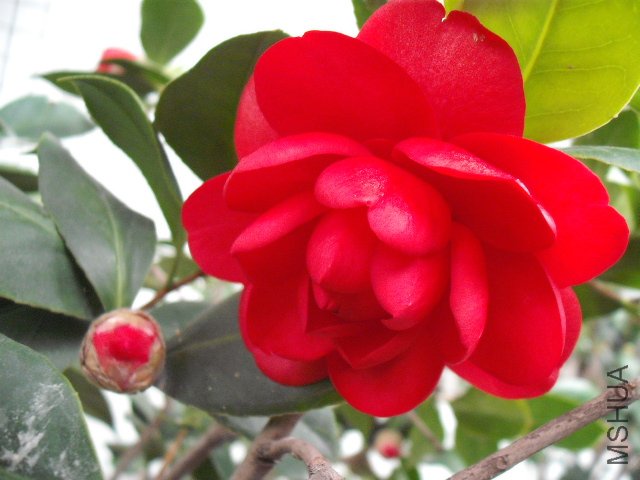 ��һ�䲻���������޹⣬��ɫ�Ǵ����������