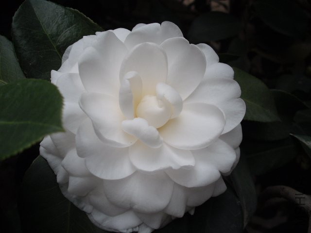 ���������ˣ�����Ӫ���㣬����޴����