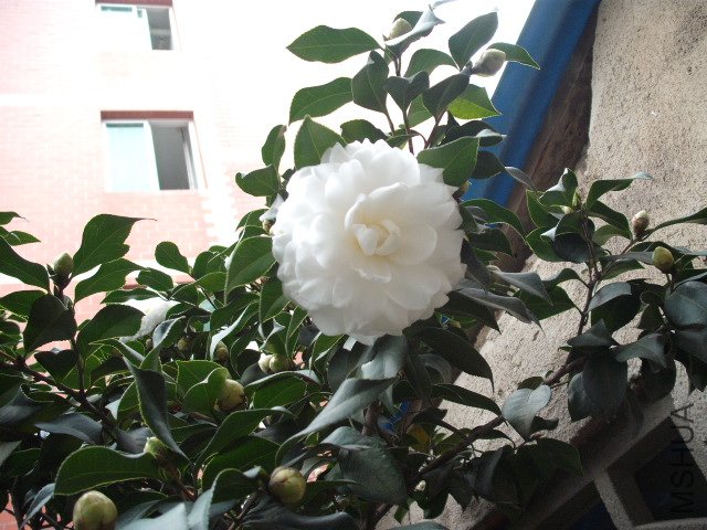 ������������ʮ������