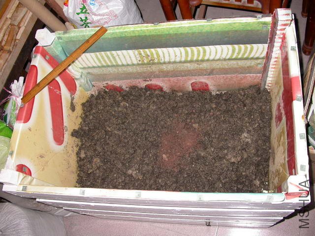 DSCN5054_������С.jpg