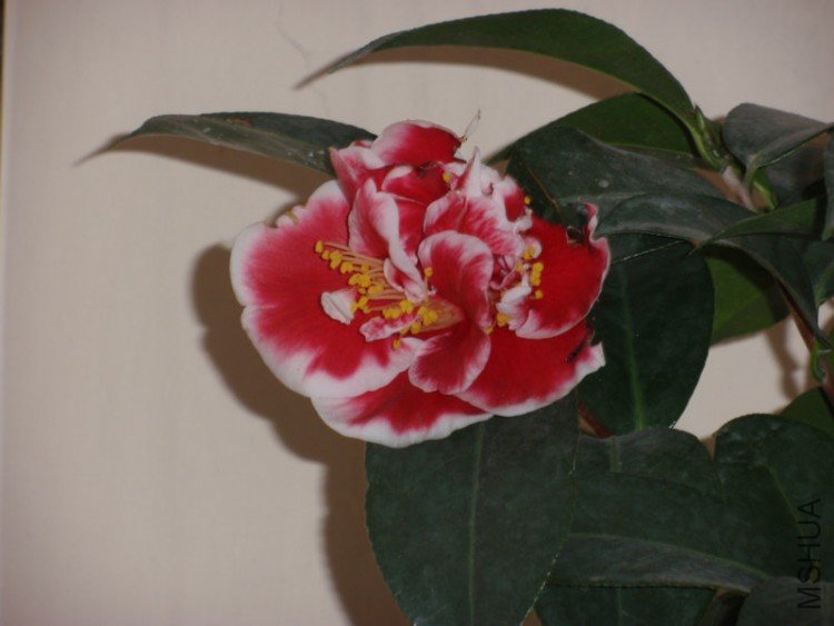 P1020420.JPG