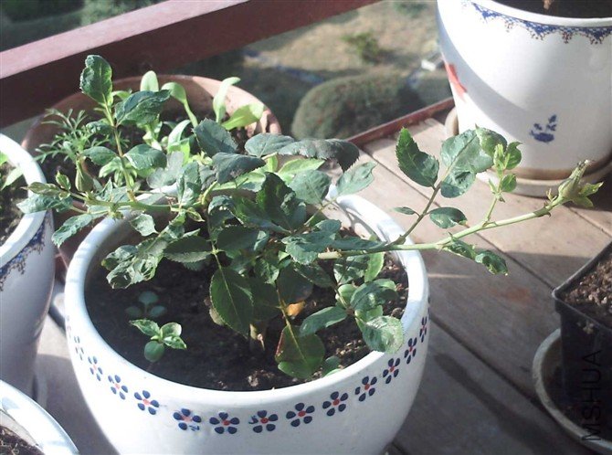 ����֮��