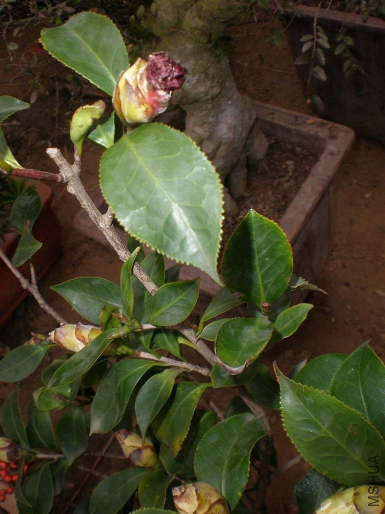 P1030090.JPG