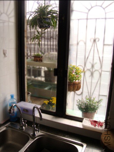 ����Ч��